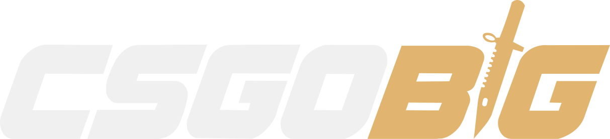 CSGOBig logo